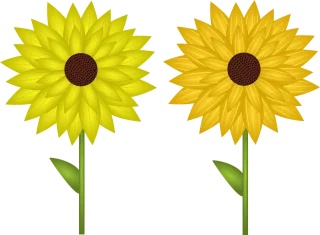 Sunflower Flowers Plant Stickdatei