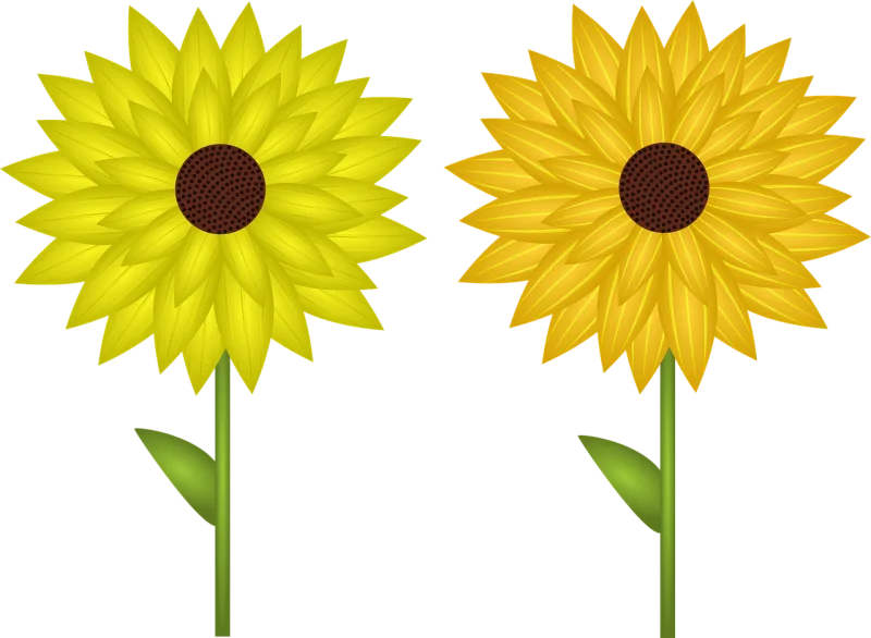 Sunflower Flowers Plant Stickdatei – Blumen