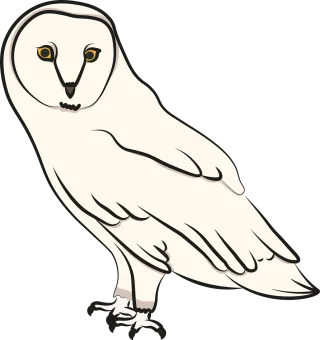 Snowy owl Owl Bird Stickdatei