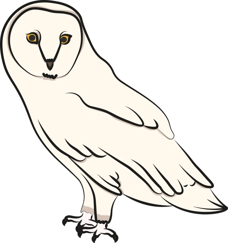 Snowy owl Owl Bird Stickdatei – Tiere