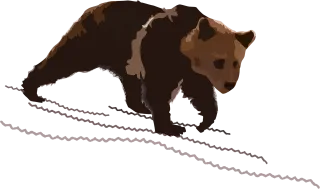 Bear Grizzly Slope Stickdatei