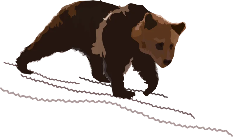 Bear Grizzly Slope Stickdatei – Tiere