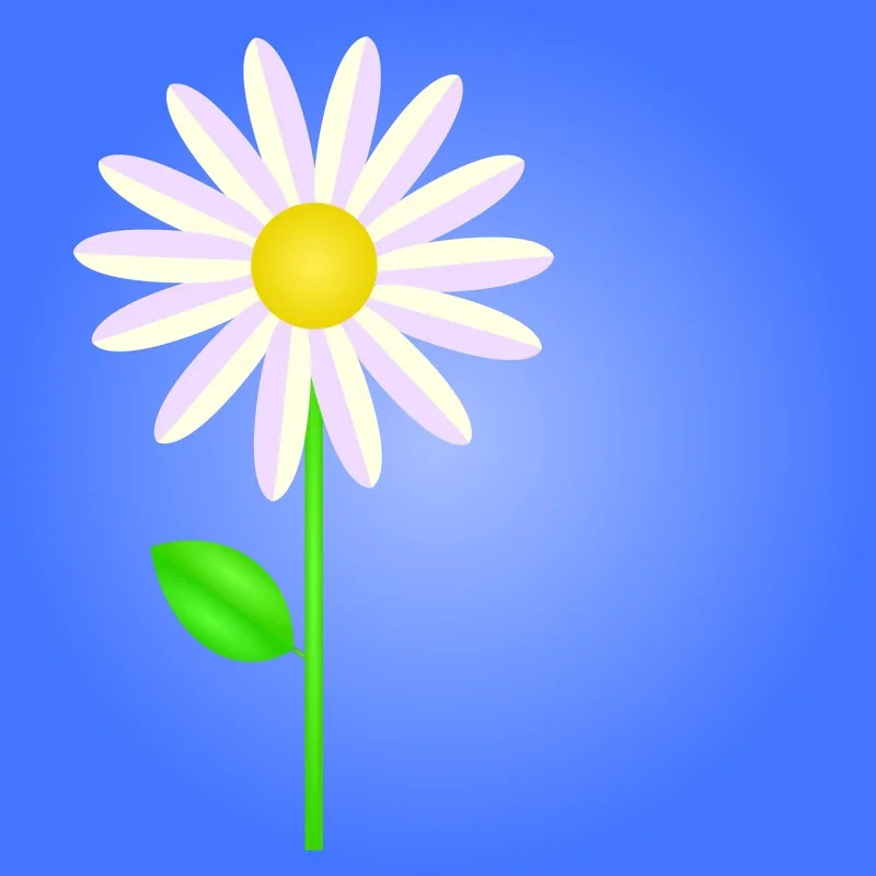 Flower Daisy Nature Stickdatei – Blumen