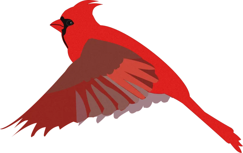 Cardinal Bird Nature Stickdatei – Tiere