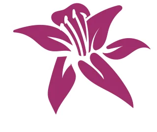 Lily Flower Drawing Stickdatei