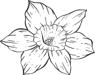 Drawing Flower wallpaper Beautiful flowers Stickdatei