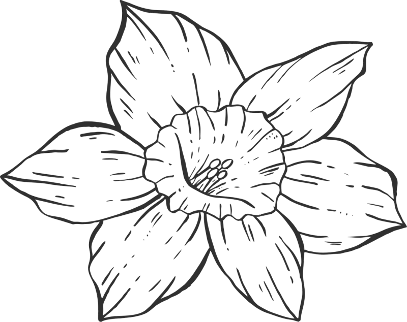Drawing Flower wallpaper Beautiful flowers Stickdatei – Blumen