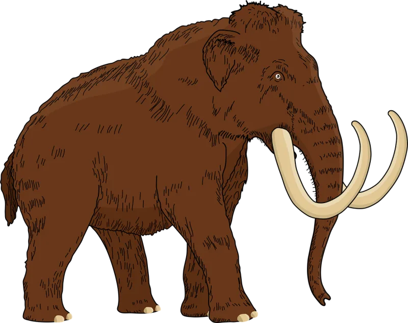 Woolly mammoth Animal Extinct Stickdatei – Tiere