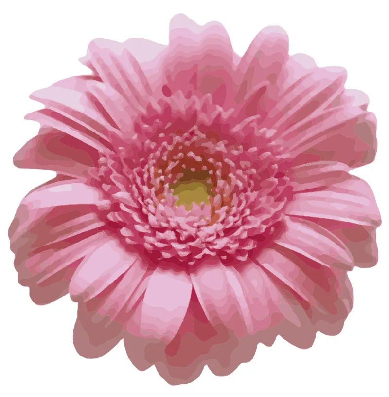 Rose Pink daisy Painting Stickdatei – Blumen