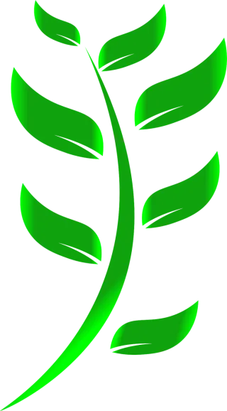 Leaf Green Eco-friendly Stickdatei