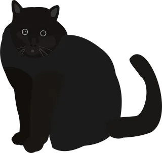 Cat Black cat Animal Stickdatei