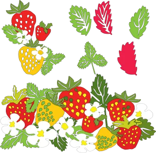 Strawberries Berry Fruit Stickdatei