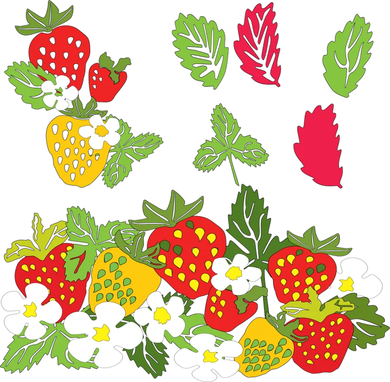 Strawberries Berry Fruit Stickdatei – Essen & Trinken