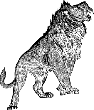 Lion Animal Line art Stickdatei