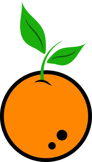Orange Nature Fruit Stickdatei