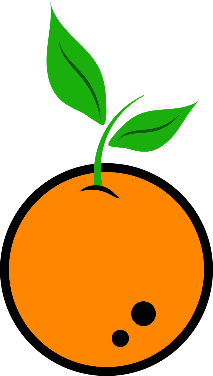 Orange Nature Fruit Stickdatei – Essen & Trinken