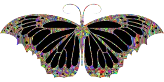 Butterfly Insect Colorful Stickdatei – Tiere