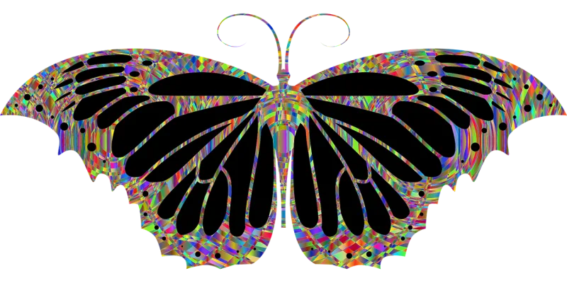 Butterfly Insect Colorful Stickdatei – Tiere