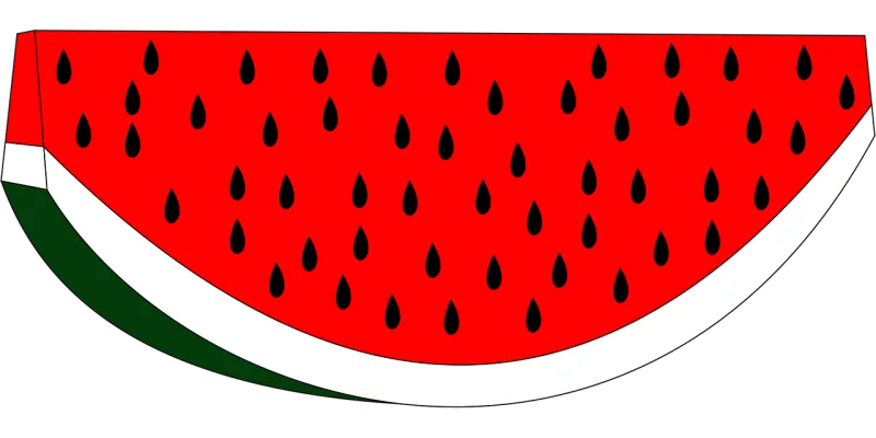 Watermelon Watermelon drawing Watermelon vector Stickdatei – Essen & Trinken