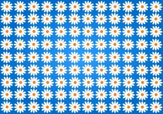 Flowers Daisy Beautiful wallpaper Stickdatei