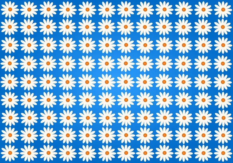 Flowers Daisy Beautiful wallpaper Stickdatei – Blumen