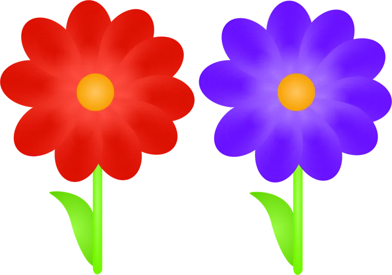 Flowers Petals Plant Stickdatei – Blumen