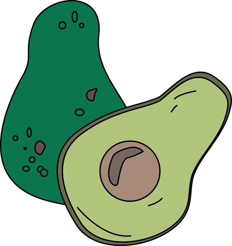 Cartoon avocado Avocado Fruit Stickdatei – Essen & Trinken
