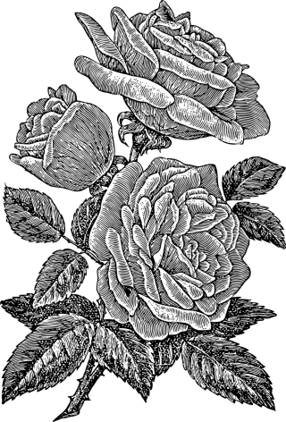 Rose Flower Line art Stickdatei