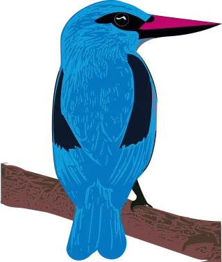 Woodland kingfisher Bird Animal Stickdatei