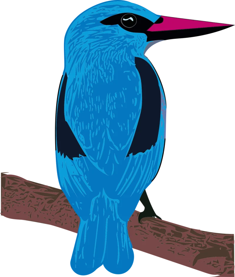 Woodland kingfisher Bird Animal Stickdatei – Tiere