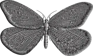Butterfly Insect Wings Stickdatei