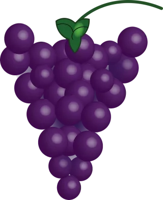 Grapes Fruit Food Stickdatei