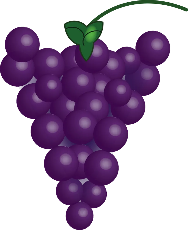 Grapes Fruit Food Stickdatei – Essen & Trinken