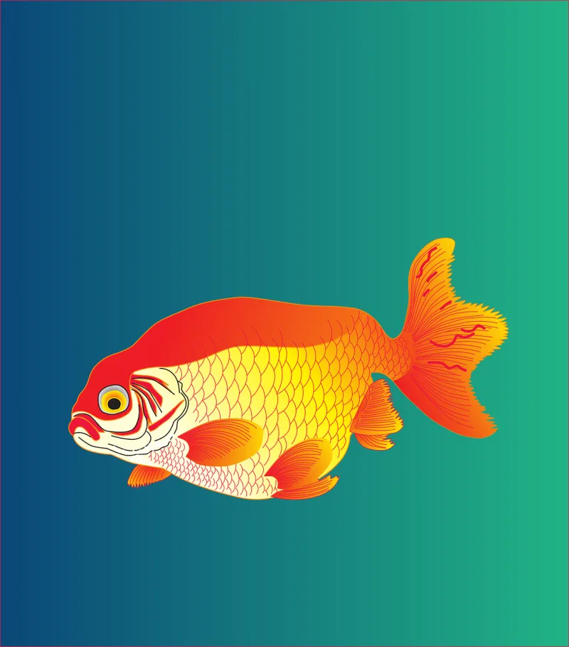 Fish Sea Nature Stickdatei – Tiere