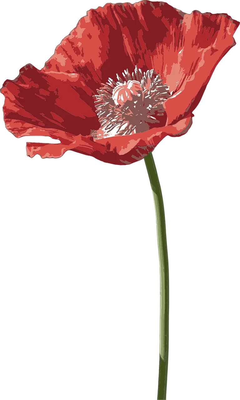 Poppy Flower Flower wallpaper Stickdatei – Blumen