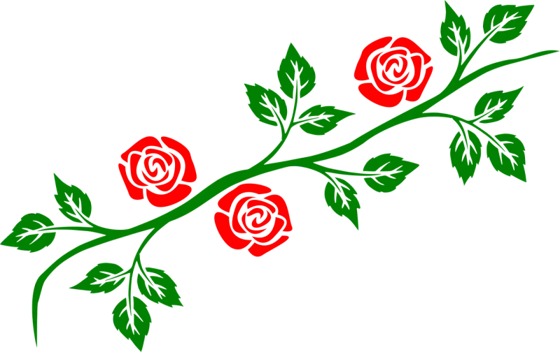 Roses Tendril Rose tendril Stickdatei – Blumen