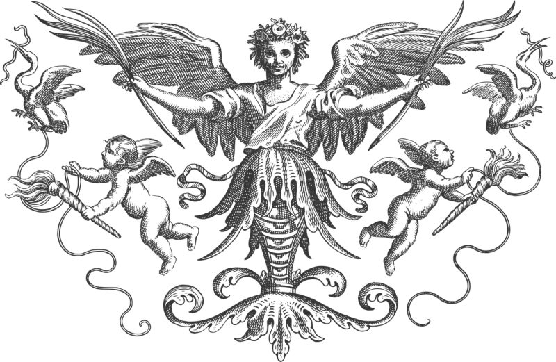 Angel Wing Birds Stickdatei – Musik