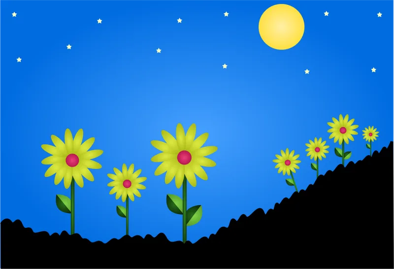 Flower field Star Night sky Stickdatei – Weihnachten