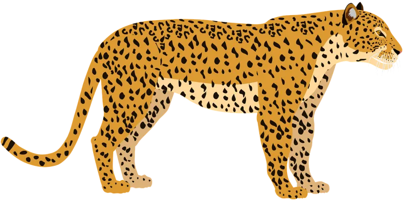 Leopard Feline Pet Stickdatei – Tiere