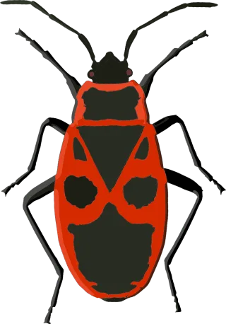 Firebug Bug Insect Stickdatei
