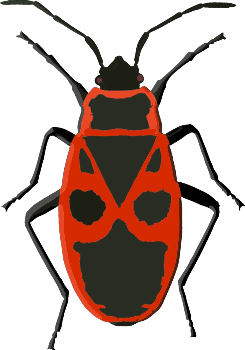 Firebug Bug Insect Stickdatei – Tiere