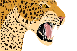 Leopard Animal Tiger Stickdatei