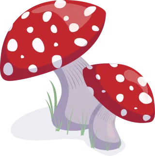 Mushrooms Fungi Toadstools Stickdatei – Natur