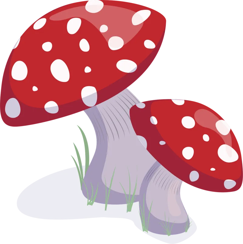 Mushrooms Fungi Toadstools Stickdatei – Natur