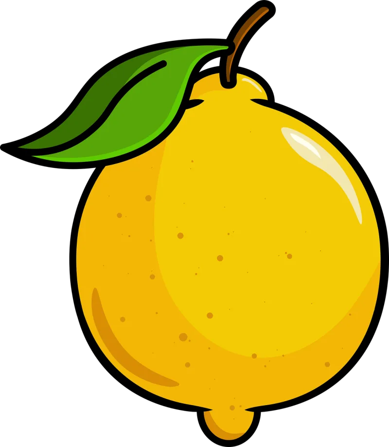 Lemon Fruit Food Stickdatei – Essen & Trinken