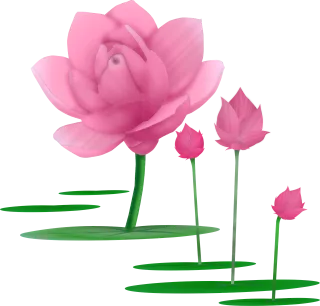 Lotus Flower Lotus flower Stickdatei – Blumen