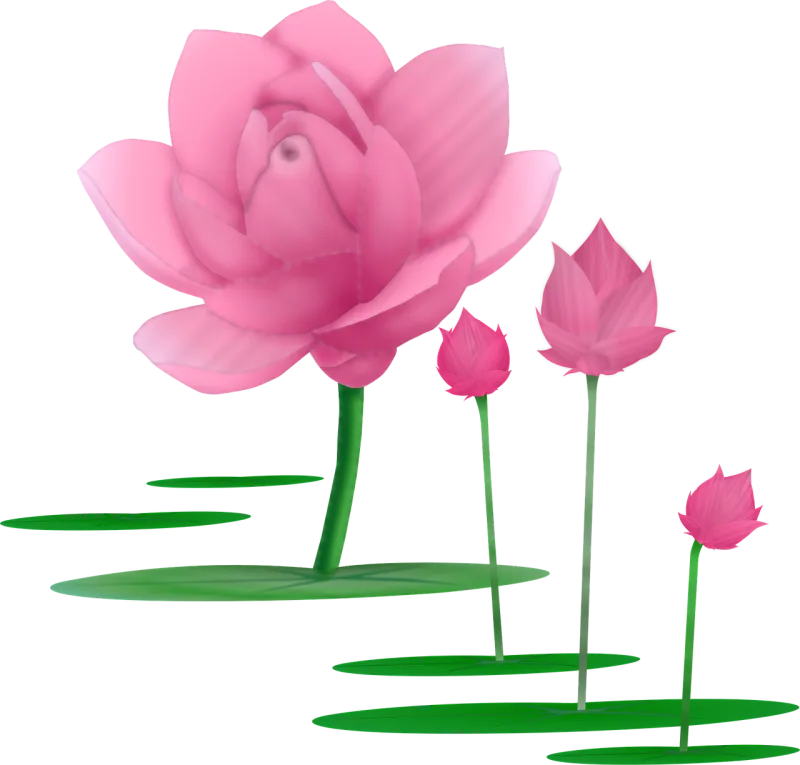 Lotus Flower Lotus flower Stickdatei – Blumen