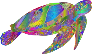 Sea turtle Animal Swimming Stickdatei