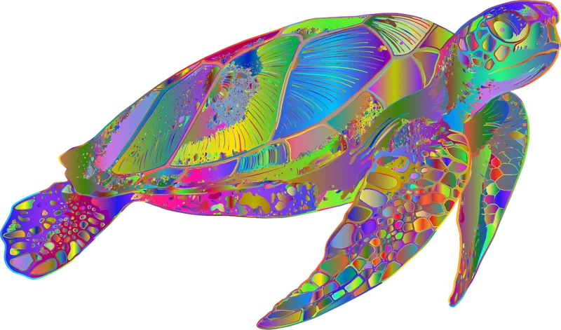 Sea turtle Animal Swimming Stickdatei – Tiere