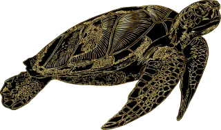 Sea turtle Turtle Animal Stickdatei